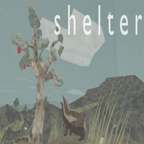 Requisitos para instalar Shelter