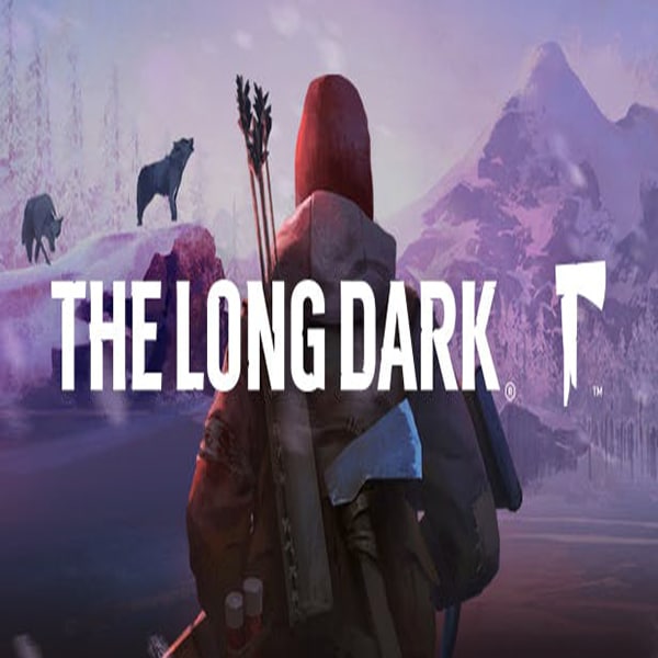 Requisitos para instalar The long dark